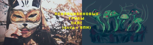 гидропоника Балабаново